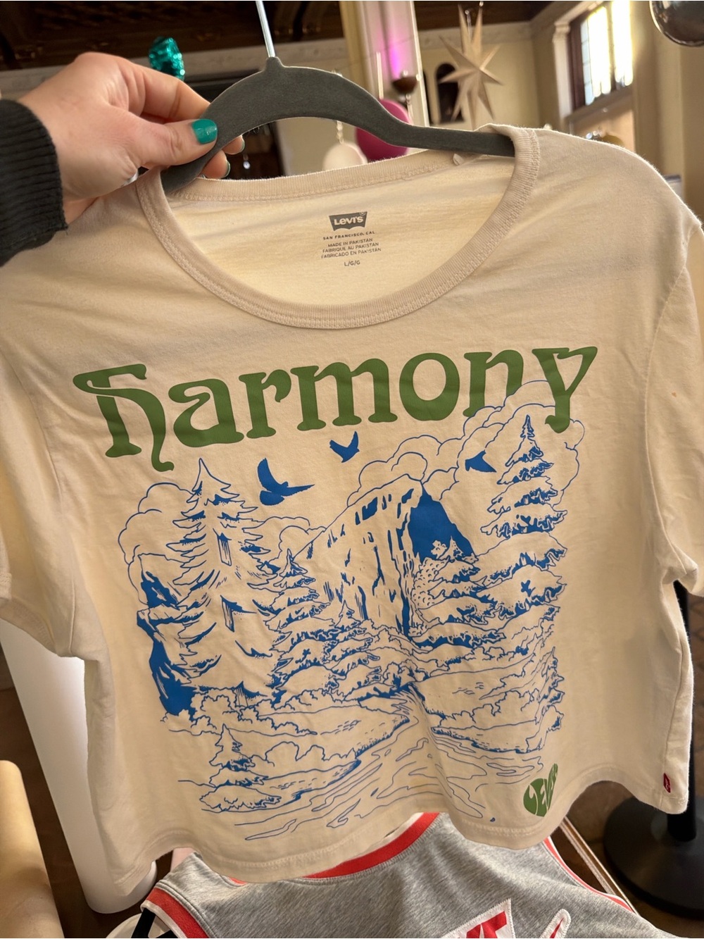 Levi's Cream Graphic Tee with Green & Blue 'Harmony' Print